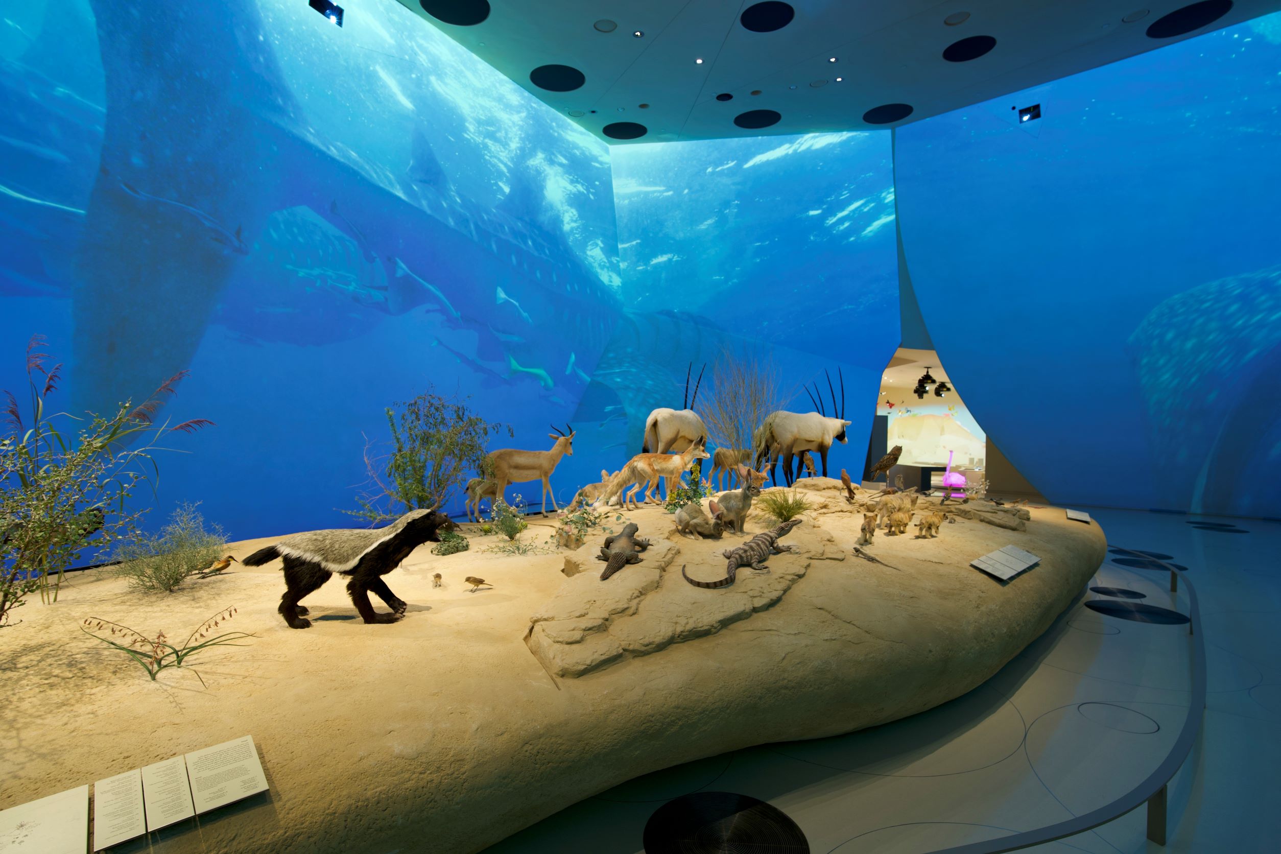 Museum Spaces